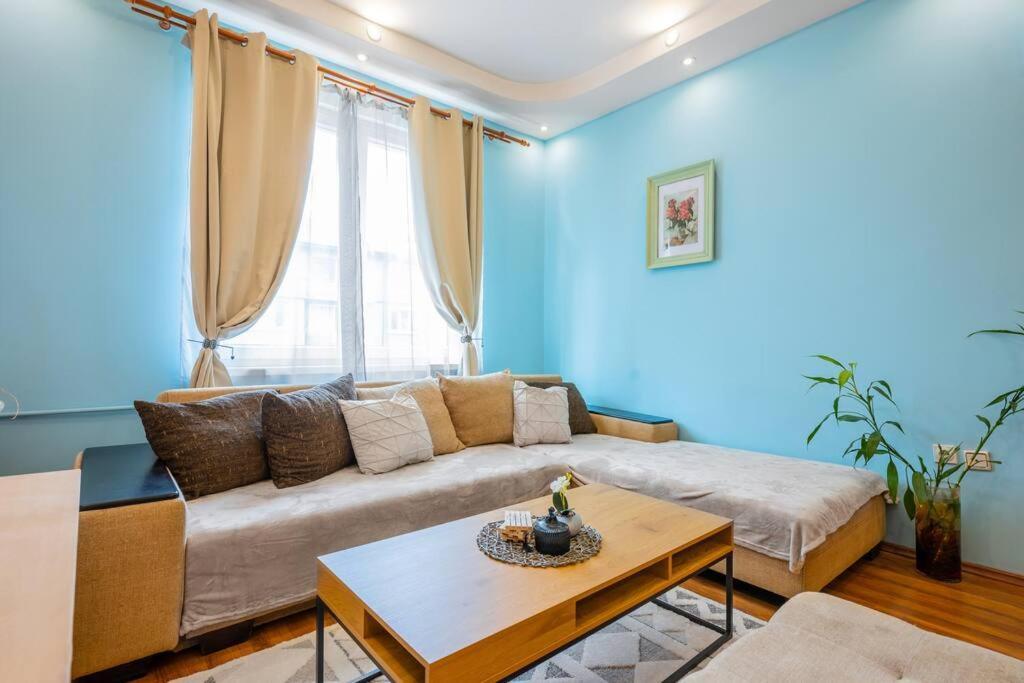 Spacious 3Bd Central Apartment Sofia Buitenkant foto