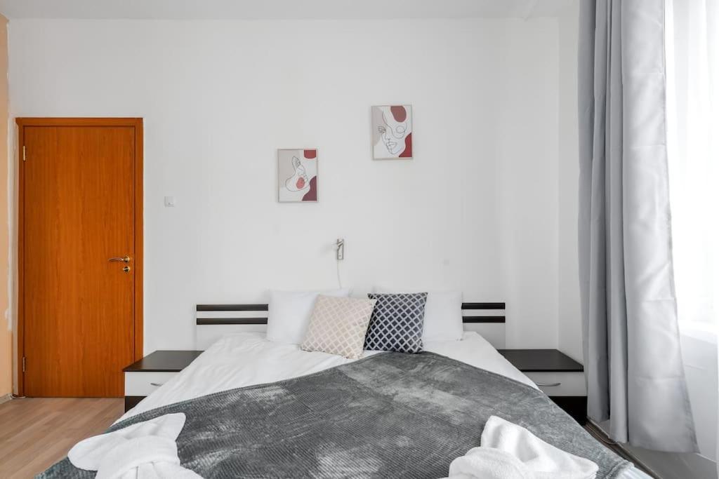Spacious 3Bd Central Apartment Sofia Buitenkant foto